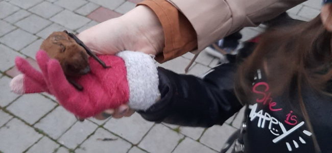 IMG-3c8a686c6fb80673fdedd11180b0de06-V