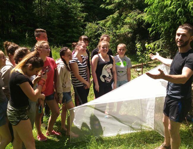 P_20180619_120654_HDR