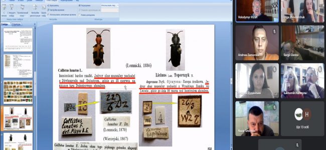 312939079_491973816305027_6015441686645472008_n