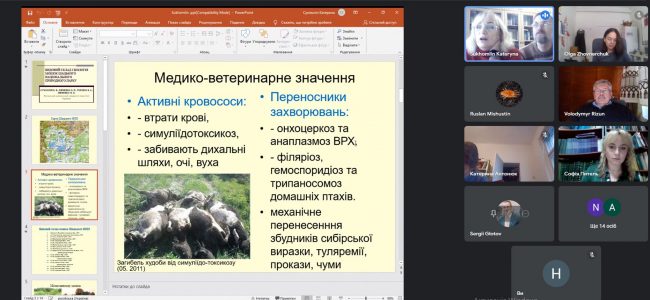 312965304_491973719638370_7577717571978185911_n