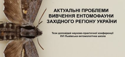 313082909_491955246306884_5570477789943673631_n